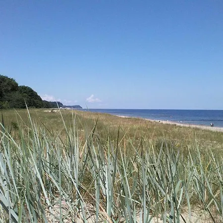 Bansiner Seeperle Daire *